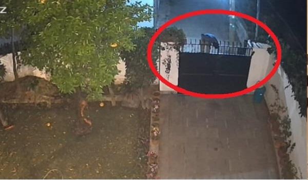 thieves seen climbing over walls of houses