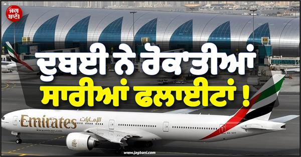 dubai halts all flights