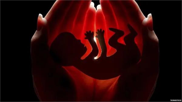 embryo found in ludhiana