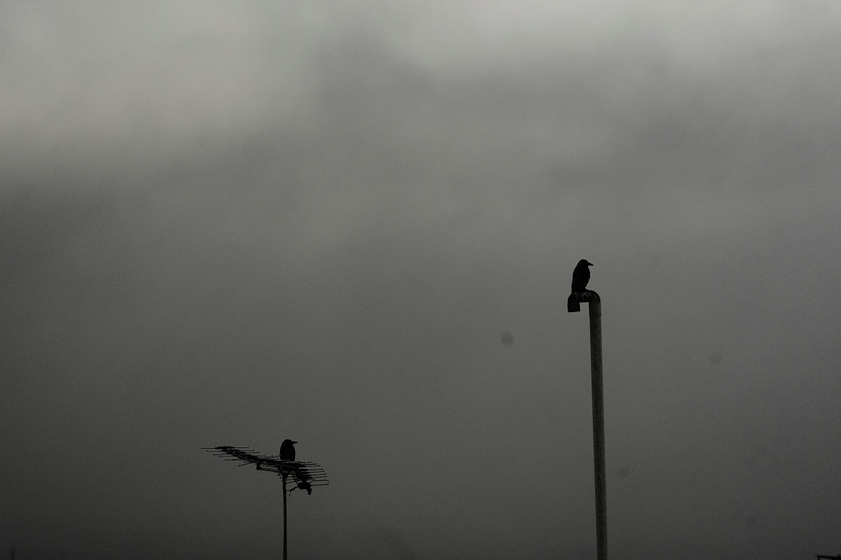 ਜੰਗ ਵਿਚਾਲੇ ਅਸਮਾਨੋਂ ਵਰ੍ਹਨ ਲੱਗਾ 'ਤੇਜ਼ਾਬ', ਸਾਹ ਲੈਣਾ ਵੀ ਹੋਇਆ ਔਖਾ, ਈਰਾਨ 'ਚ ਐਡਵਾਇਜ਼ਰੀ ਜਾਰੀ