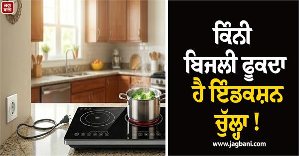 how much electricity does an induction stove use