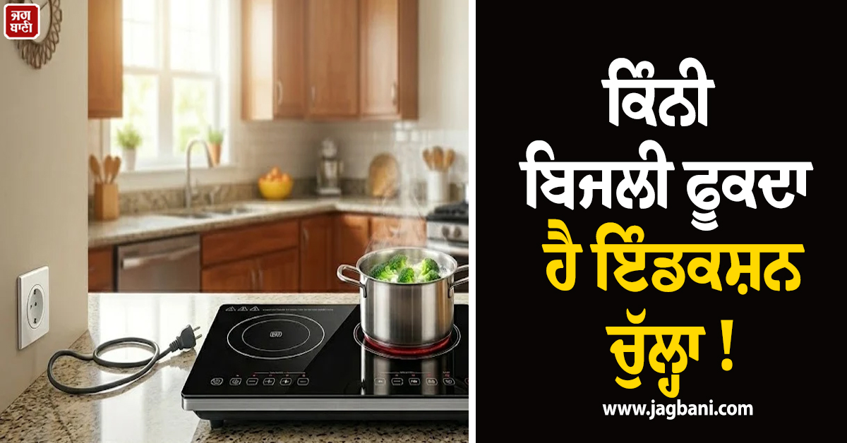 ਕਿੰਨੀ ਬਿਜਲੀ ਫੂਕਦਾ ਹੈ ਇੰਡਕਸ਼ਨ ਚੁੱਲ੍ਹਾ ! ਹਰ ਘੰਟੇ ਦਾ ਖਰਚ ਜਾਣ ਕੇ ਰਹਿ ਜਾਓਗਾ ਹੈਰਾਨ