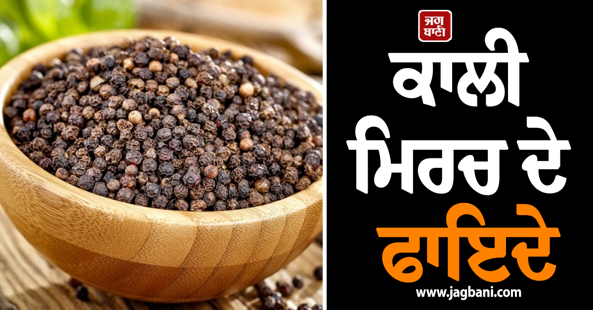 ਇਮਿਊਨਿਟੀ ਵਧਾਉਣ  ਤੇ ਮੋਟਾਪਾ ਘਟਾਉਣ ''ਚ ਬੇਹੱਦ ਕਾਰਗਰ ਹੈ ਕਾਲੀ ਮਿਰਚ, ਜਾਣੋ ਇਸ ਦੇ ਬੇਮਿਸਾਲ ਫਾਇਦੇ