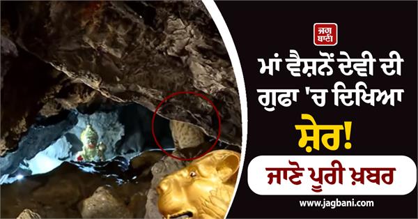lion spotted in vaishno devi holy cave