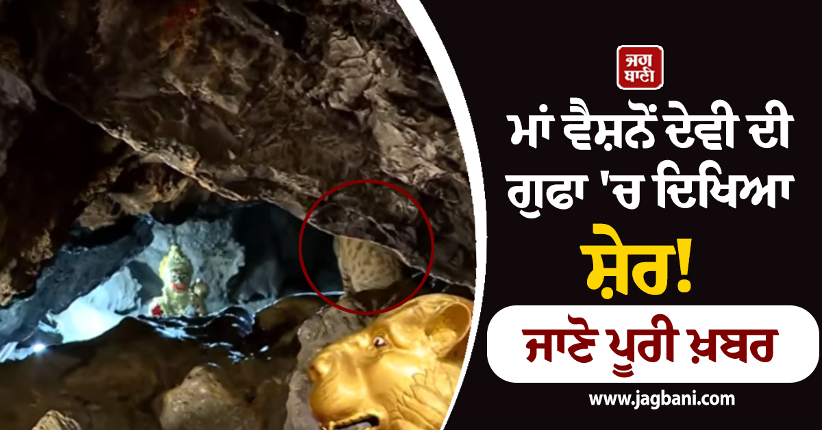 ਮਾਂ ਵੈਸ਼ਨੋਂ ਦੇਵੀ ਦੀ ਗੁਫਾ 'ਚ ਪਹਿਲੇ ਨਵਰਾਤੇ ਮੌਕੇ ਦਿਖਿਆ ਸ਼ੇਰ! ਵੀਡੀਓ ਵਾਇਰਲ, ਜਾਣੋ ਪੂਰੀ ਖ਼ਬਰ