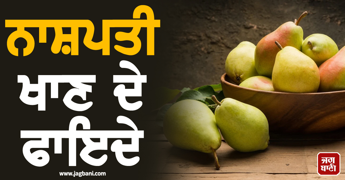 ਕੀ ਤੁਸੀਂ ਵੀ ਨਾਸ਼ਪਾਤੀ ਨੂੰ ਮਾਮੂਲੀ ਫਲ ਸਮਝਦੇ ਹੋ? ਇਸ ਦੇ ਫਾਇਦੇ ਸੁਣ ਕੇ ਤੁਹਾਡੇ ਹੋਸ਼ ਉੱਡ ਜਾਣਗੇ!