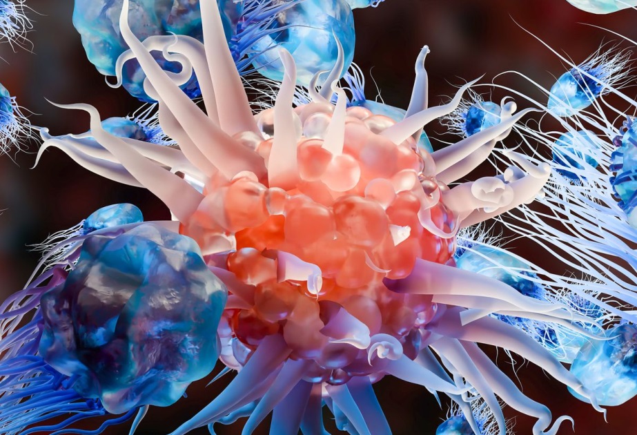 ਵਿਗਿਆਨੀਆਂ ਦੇ ਹੱਥ ਲੱਗੀ ਵੱਡੀ ਸਫ਼ਲਤਾ ! Blood Cancer ਦੇ ਇਲਾਜ ਲਈ ਵਿਕਸਿਤ ਕੀਤਾ ਮੌਕੀਕਿਊਲਰ ਬ੍ਰਿਜ