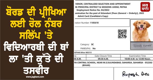 dog photo candidate admit card