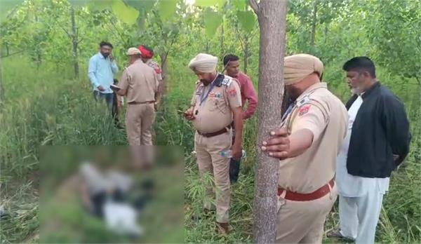 dead body of boy found in fields in jalandhar