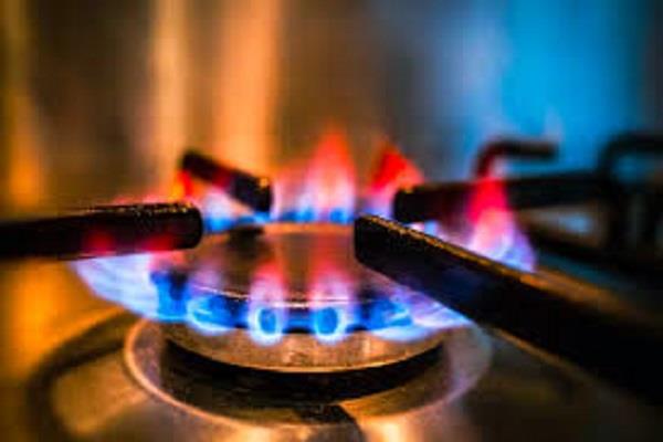 alternative to lpg in india   developing ethanol as cooking gas
