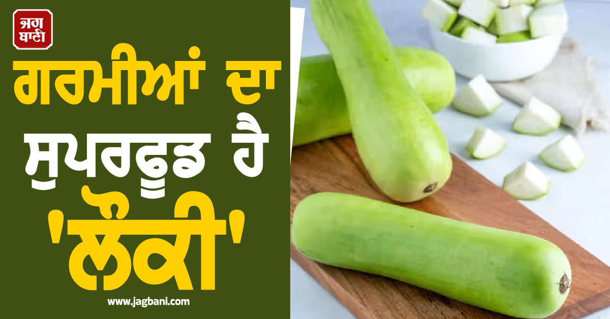 ਗਰਮੀਆਂ ਦਾ ਸੁਪਰਫੂਡ ਹੈ 'ਲੌਕੀ', ਭਾਰ ਘਟਾਉਣ ਤੋਂ ਲੈ ਕੇ ਦਿਲ ਨੂੰ ਫਿੱਟ ਰੱਖਣ ਤੱਕ ਜਾਣੋ ਇਸ ਦੇ 5 ਜਾਦੂਈ ਗੁਣ