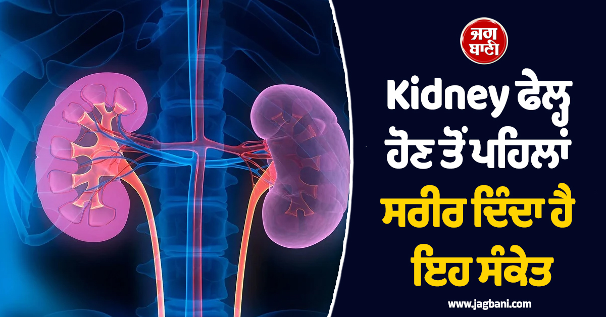 Kidney ਫੇਲ੍ਹ ਹੋਣ ਤੋਂ ਪਹਿਲਾਂ ਸਰੀਰ ਦਿੰਦਾ ਹੈ ਇਹ ਸੰਕੇਤ, ਜਾਣੋ ਮਾਹਿਰਾਂ ਤੋਂ ਬਚਾਅ ਦੇ ਸਹੀ ਤਰੀਕੇ
