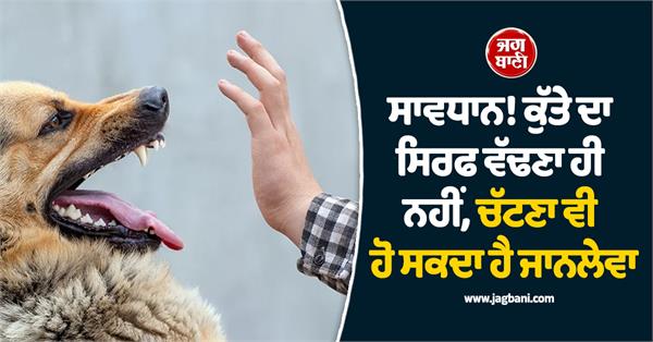 not only dog bites but licking can also be fatal 