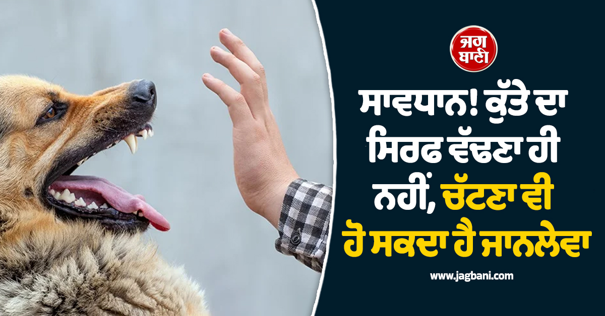 ਸਾਵਧਾਨ! ਕੁੱਤੇ ਦਾ ਸਿਰਫ ਵੱਢਣਾ ਹੀ ਨਹੀਂ, ਚੱਟਣਾ ਵੀ ਹੋ ਸਕਦਾ ਹੈ ਜਾਨਲੇਵਾ; ਜਾਣੋ ਇਸ ਦੇ ਗੰਭੀਰ ਖ਼ਤਰੇ