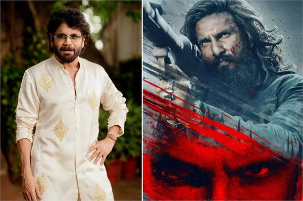 nagarjuna lauds ranveer singh film   dhurandhar  the revenge  