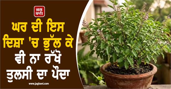don t forget to keep a tulsi plant in this direction of the house 