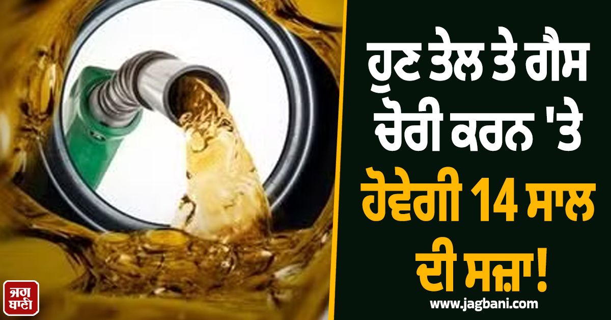 ਹੁਣ ਤੇਲ ਤੇ ਗੈਸ ਚੋਰੀ ਕਰਨ ''ਤੇ ਹੋਵੇਗੀ 14 ਸਾਲ ਦੀ ਸਜ਼ਾ! PAK ਸਰਕਾਰ ਨੇ ਪਾਸ ਕੀਤਾ ਸਖ਼ਤ ਕਾਨੂੰਨ