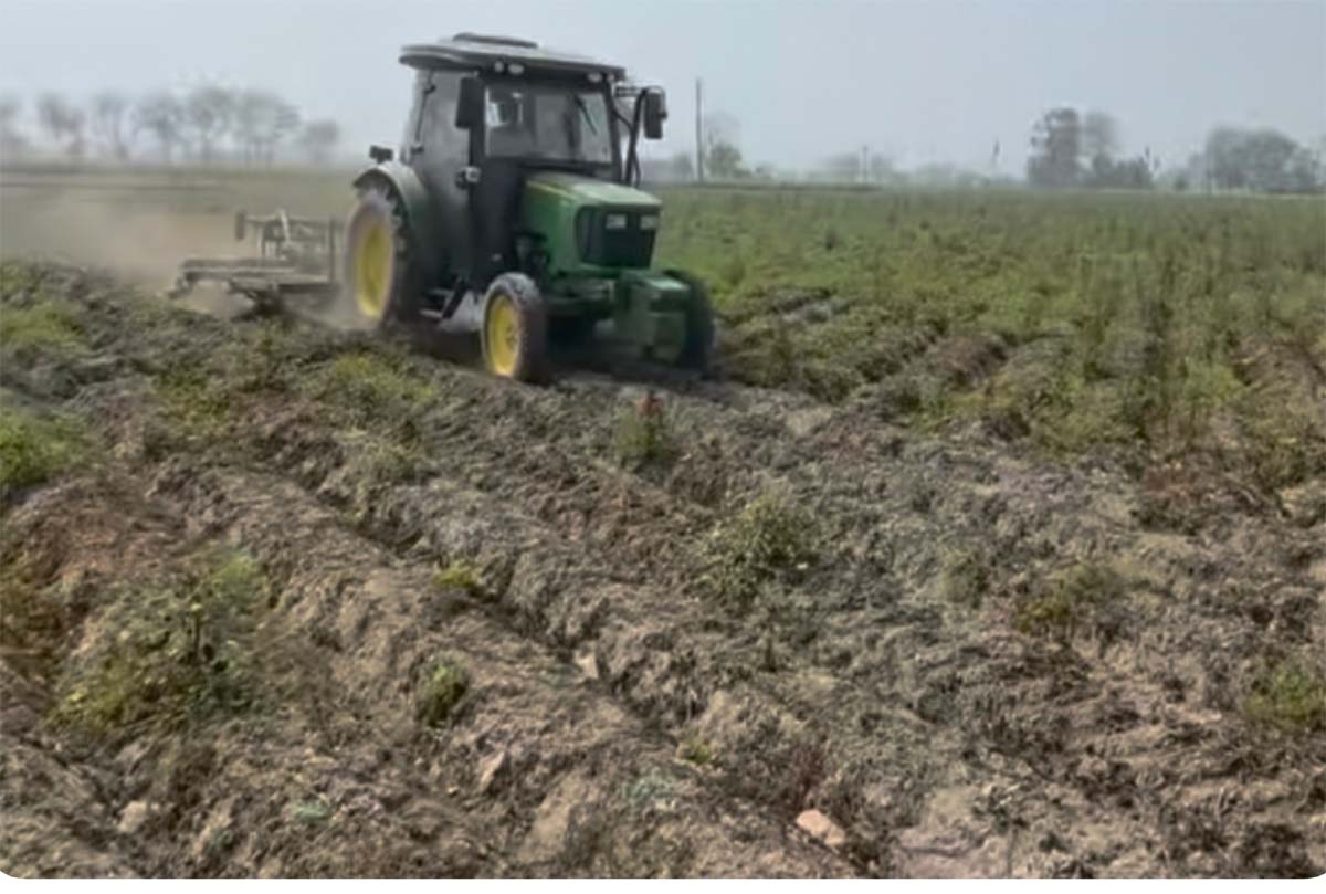 ਵੱਡੀ ਮੁਸੀਬਤ ''ਚ ਘਿਰੇ ਪੰਜਾਬ ਦੇ ਕਿਸਾਨ! ਖੇਤਾਂ ’ਚ ਵੀ ਆਲੂ ਵਾਹੁਣ ਲਈ ਹੋਏ ਮਜਬੂਰ