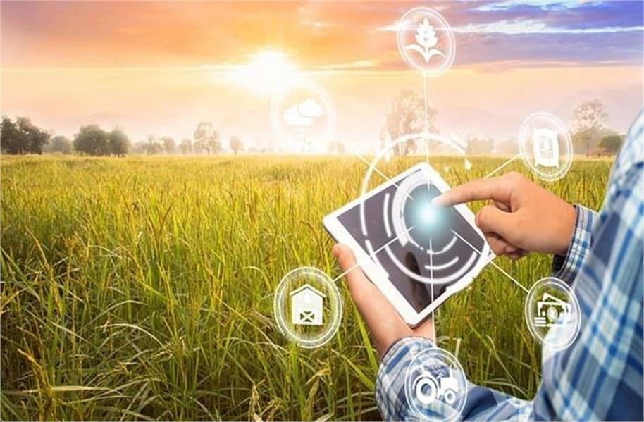 ਕਦੋਂ ਕਿਸਾਨ ਫ਼ਖ਼ਰ ਨਾਲ ਕਹੇਗਾ, ‘ਮੇਰੀ ਔਲਾਦ ਵੀ ਕਿਸਾਨ ਬਣੇ’