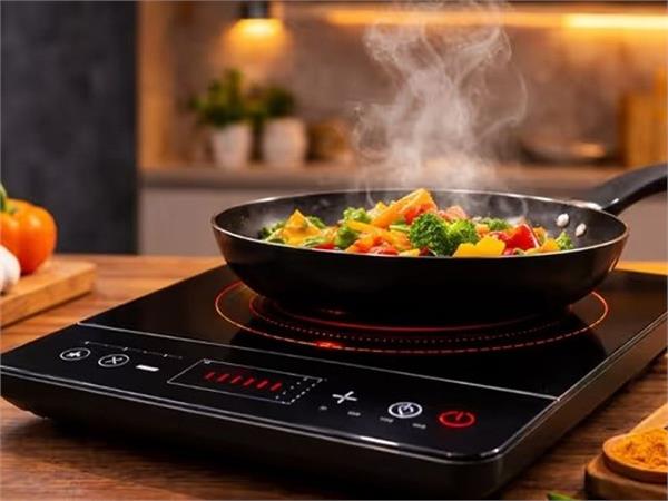 himachal pradesh  lpg  induction stove  electricity