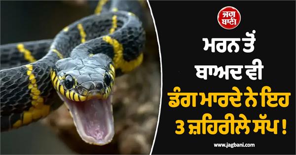 these 3 poisonous snakes bite even after death