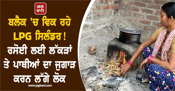 lpg shortage in punjab