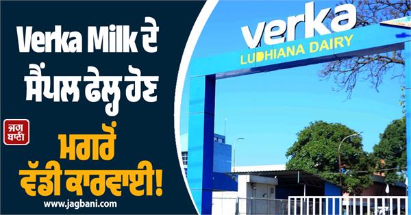verka milk plant action