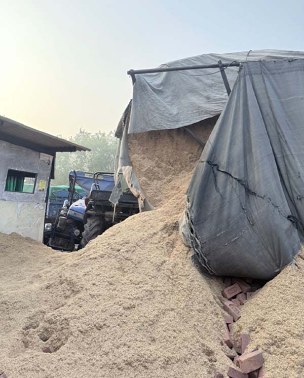 ਇੱਟਾਂ ਨਾਲ ਲੱਦੀਆਂ ਟਰੈਕਟਰ-ਟਰਾਲੀਆਂ ਦੀ ਸਿੱਧੀ ਟੱਕਰ, 2 ਜ਼ਖ਼ਮੀ