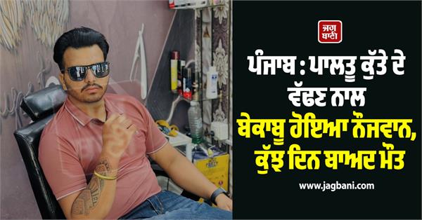 pet dog  young man bitten