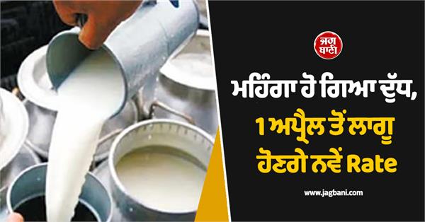 milk has become expensive