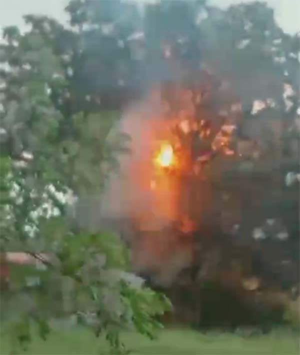 ਬਿਜਲੀ ਦੀ 66KV ਲਾਈਨ ਦੀ ਤਾਰ ਟੁੱਟਣ ਕਾਰਨ ਅੰਬ ਦੇ ਰੁੱਖ ਨੂੰ ਲੱਗੀ ਅੱਗ