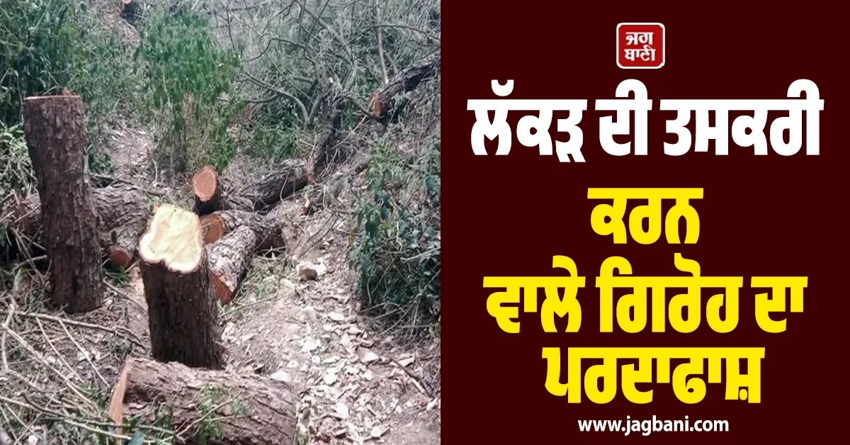 ਖੈਰ ਦੀ ਲੱਕੜ ਤਸਕਰੀ ਕਰਨ ਵਾਲੇ ਗਿਰੋਹ ਦਾ ਪਰਦਾਫਾਸ਼; ਫੋਰੈਸਟ ਅਫਸਰ ਸਮੇਤ 11 ਗ੍ਰਿਫਤਾਰ