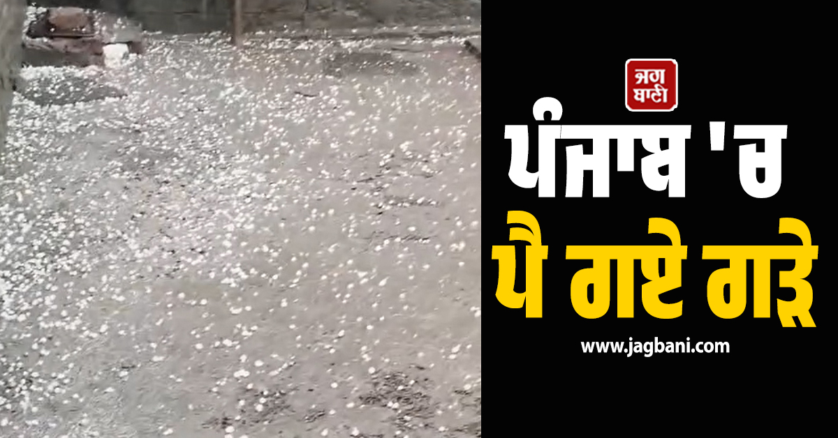 ਪੰਜਾਬ 'ਚ ਪੈ ਗਏ ਗੜੇ, ਸਾਰੇ ਜ਼ਿਲ੍ਹਿਆਂ ਜਾਰੀ ਹੋਇਆ ALERT! ਜਾਣੋ ਤਾਜ਼ਾ ਅਪਡੇਟ (ਵੀਡੀਓ)
