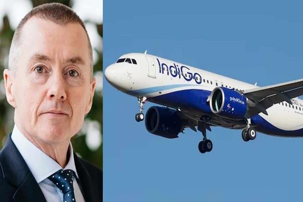 william walsh becomes indigo s new ceo after peter albers resignation