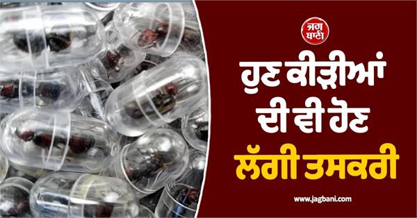 now ants smuggled chinese citizens arrested at airport