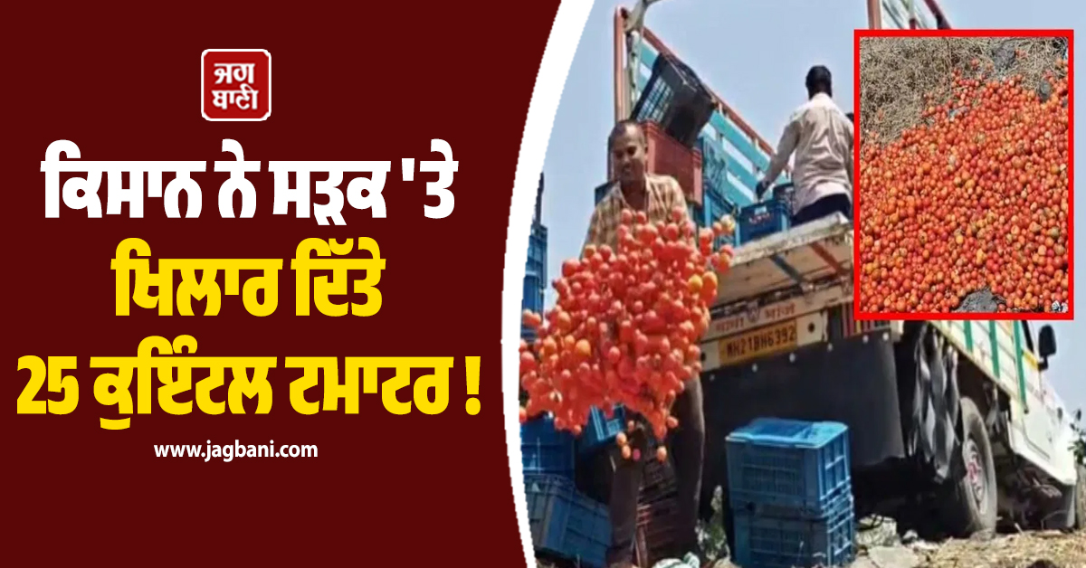 ''ਜਦੋਂ ਭਾਅ ਹੀ ਨਹੀਂ ਤਾਂ ਕਿਸ ਕੰਮ ਦੇ..!'''', ਕਿਸਾਨ ਨੇ ਸੜਕ ''ਤੇ ਖਿਲਾਰ ਦਿੱਤੇ 25 ਕੁਇੰਟਲ ਟਮਾਟਰ