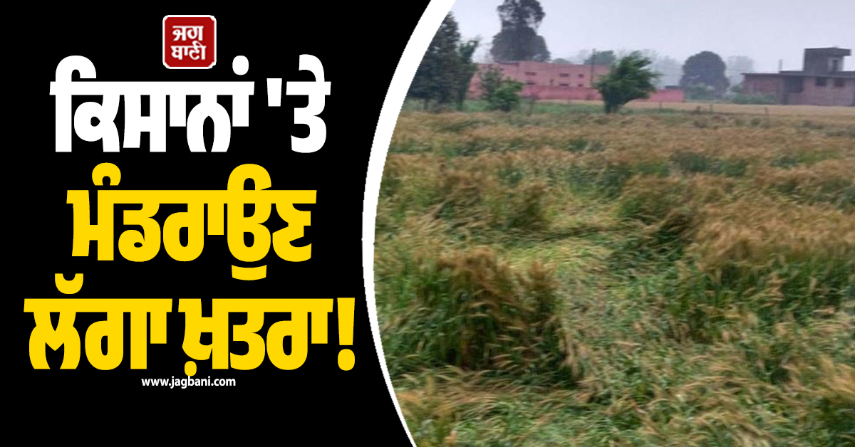 Punjab: ਕਿਸਾਨਾਂ 'ਤੇ ਮੰਡਰਾਉਣ ਲੱਗਾ ਖ਼ਤਰਾ! ਵਰਤਣ ਸਾਵਧਾਨੀ, ਸੁਚੇਤ ਰਹਿਣ ਦੀ ਸਲਾਹ