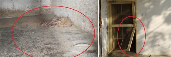 48 bags of dap fertilizer and a fan stolen