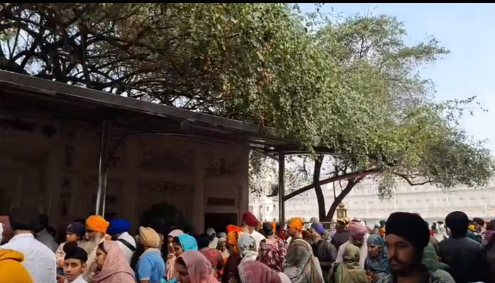 ਸ੍ਰੀ ਹਰਿਮੰਦਰ ਸਾਹਿਬ ''ਚ ਆਸਥਾ ਦੀ ਮਿੱਠੀ ਬਹਾਰ: ਪੁਰਾਣੀਆਂ ਬੇਰੀਆਂ ’ਤੇ ਫਲਾਂ ਨਾਲ ਲੱਦੀਆਂ ਡਾਲੀਆਂ