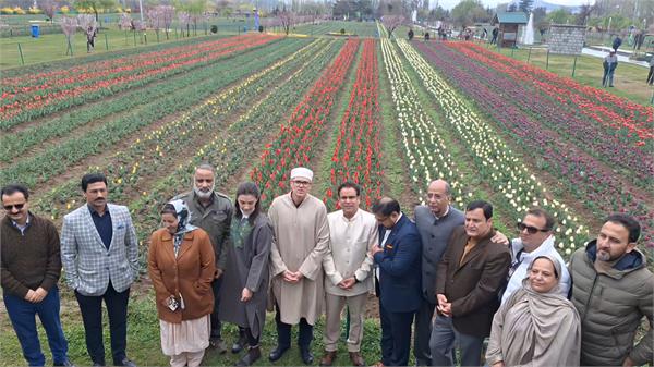 asia  s largest tulip garden opens for tourists in srinagar