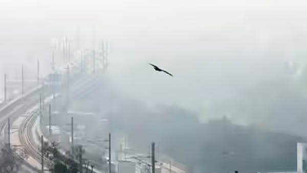 ਸਰਦੀਆਂ ’ਚ ਗਾਜ਼ੀਆਬਾਦ ਰਿਹਾ ਦੇਸ਼ ਦਾ ਸਭ ਤੋਂ ਪ੍ਰਦੂਸ਼ਿਤ ਸ਼ਹਿਰ, ਨੋਇਡਾ ਦੂਜੇ ਅਤੇ ਦਿੱਲੀ ਤੀਜੇ ਨੰਬਰ ’ਤੇ