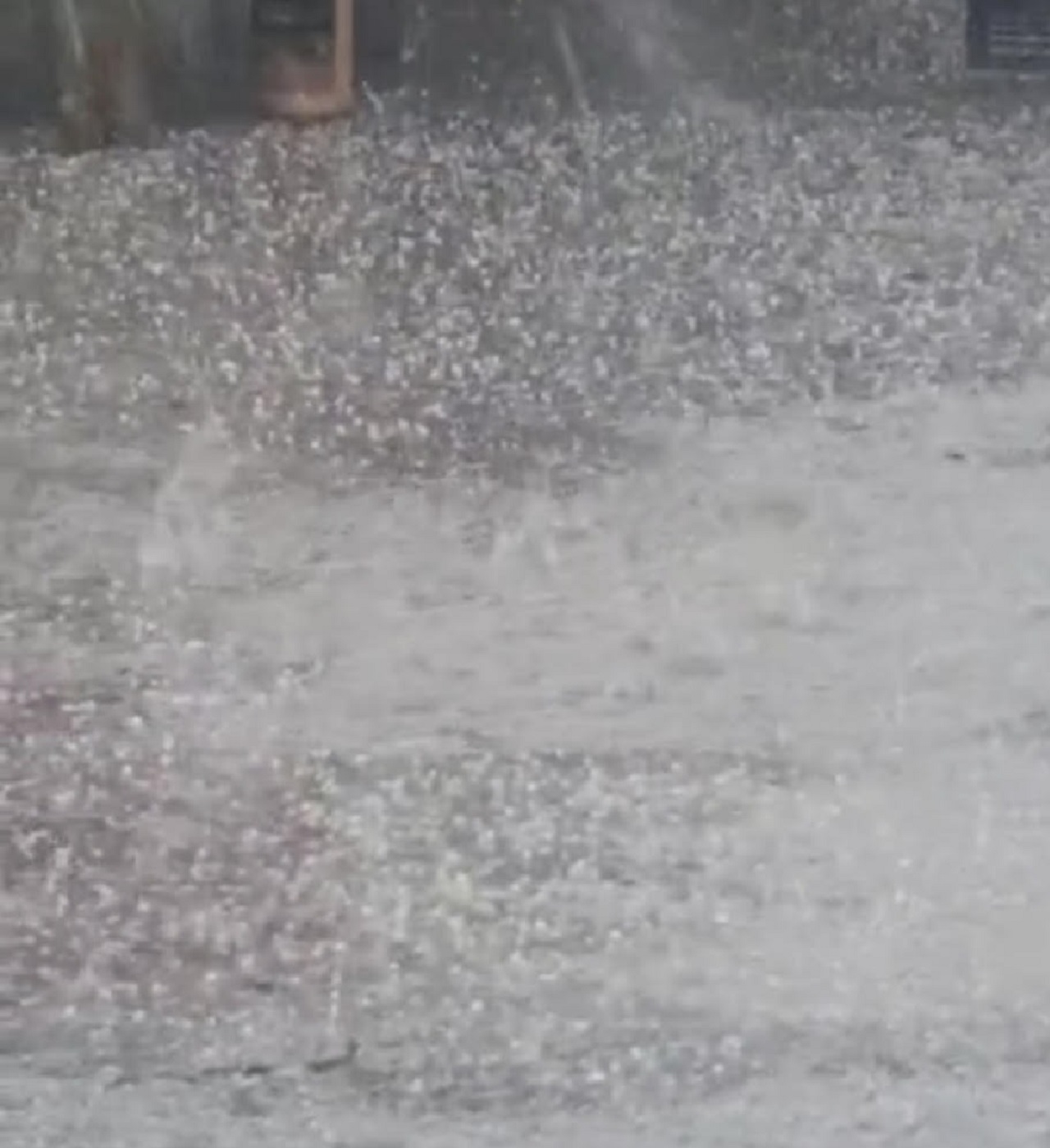 ਗੁਰਦਾਸਪੁਰ ''ਚ ਕੁਦਰਤ ਦਾ ਕਹਿਰ: ਬੇਮੌਸਮੀ ਮੀਂਹ ਤੇ ਗੜੇਮਾਰੀ ਨੇ ਕਿਸਾਨਾਂ ਦੀਆਂ ਉਮੀਦਾਂ ''ਤੇ ਫੇਰਿਆ ਪਾਣੀ