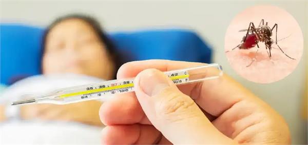 dengue outbreak increases