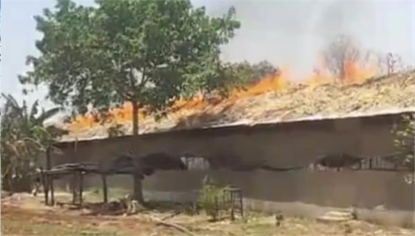 terrible fire in poultry farm