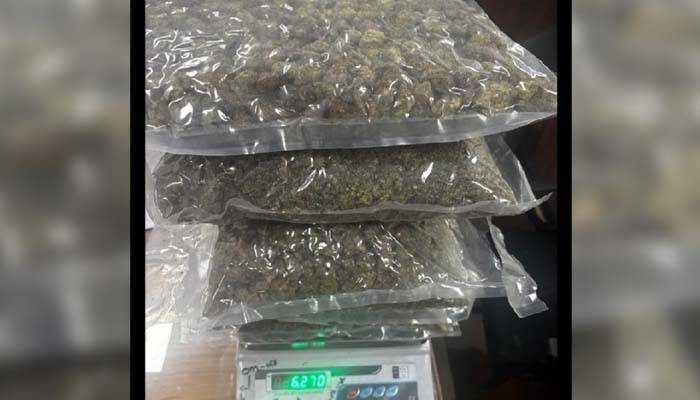 ਅੰਮ੍ਰਿਤਸਰ ਏਅਰਪੋਰਟ ''ਤੇ ਵੱਡੀ ਕਾਰਵਾਈ: ਬੈਂਕਾਕ ਤੋਂ ਆਈ ਫਲਾਈਟ ''ਚੋਂ 6.28 ਕਰੋੜ ਦਾ ''ਹਾਈਡ੍ਰੌਲਿਕ ਗਾਂਜਾ'' ਬਰਾਮਦ