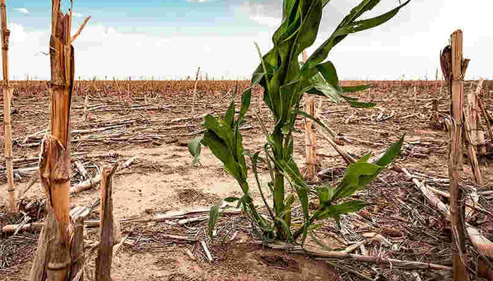 ਸਾਵਧਾਨ! ਭਾਰਤ ''ਤੇ ਮੰਡਰਾ ਰਿਹਾ ਭਿਆਨਕ ਗਰਮੀ ਤੇ ਸੋਕੇ ਦਾ ਖ਼ਤਰਾ, ਮੌਸਮ ਵਿਭਾਗ ਨੇ ਕੀਤਾ ਅਲਰਟ