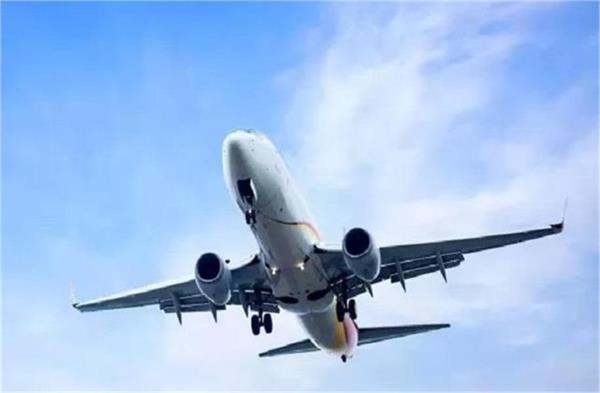 harassment  rude behavior and hooliganism by   passengers on planes