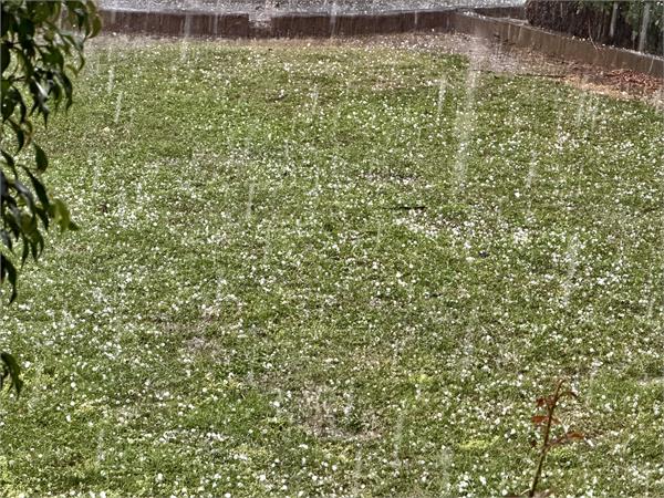 rain and hailstorm disrupt normal life in phagwara