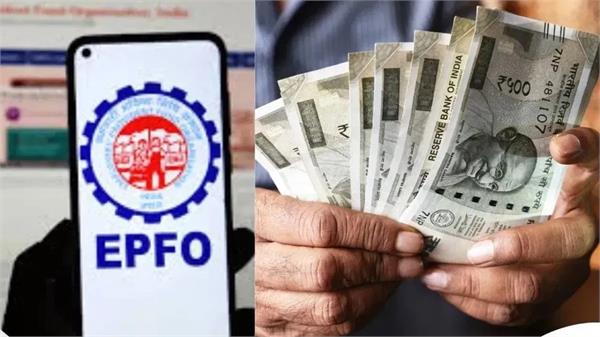 epfo  will you earn interest on pf savings after losing your job 