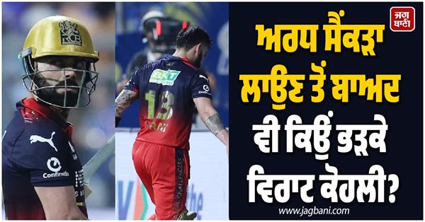 why did king kohli throw his gloves and helmet on the ground in anger
